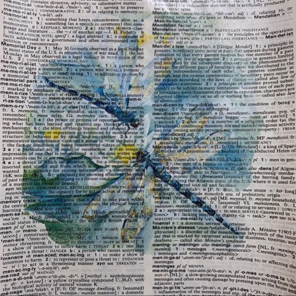 Dragonfly Artwork on Vintage Dictionary Page